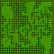 Dryad's Grove